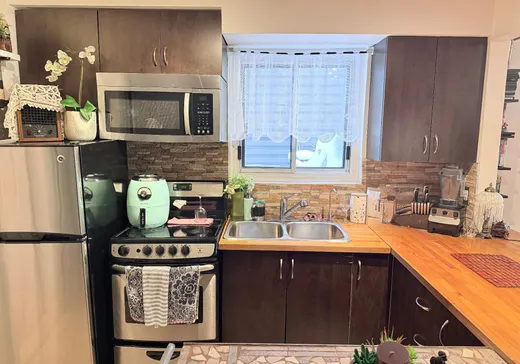 Condo à vendre - 4446 Rue Bélanger, Montréal (Centreville), H1T 1B5