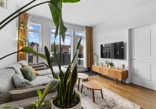 Condo à vendre - 1930 Av. des Érables, App. 7, Montréal (Ville-Marie), H2K 3V2