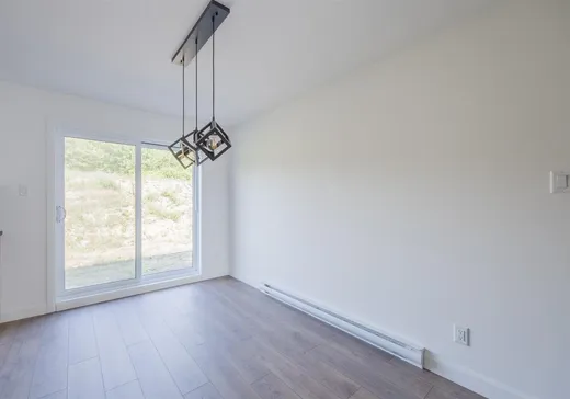 Maison à vendre - 4 Rue du Panorama, Château-Richer, G0A 1N0