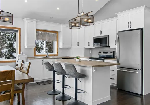 House for sale - 104 Ch. des Cousins, Mansfield-et-Pontefract, J0X 1R0