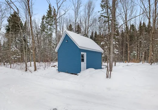 Maison à vendre - 1164B Route Henderson, St-Anselme, G0R 2N0