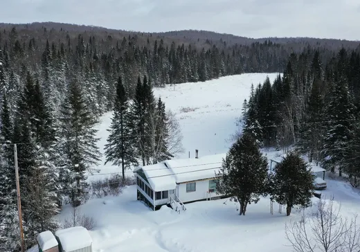 Maison à vendre - 6556 Ch. du Lac-Kiamika, Rivière-Rouge, J0T 1T0