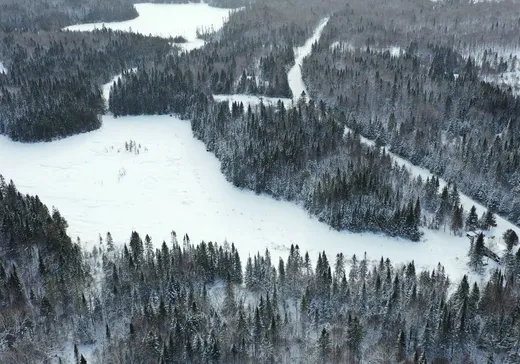 Maison à vendre - 6556 Ch. du Lac-Kiamika, Rivière-Rouge, J0T 1T0