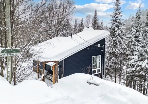 House for sale - 308 Ch. des Bouleaux, St-Adolphe d'Howard, J0T 2B0