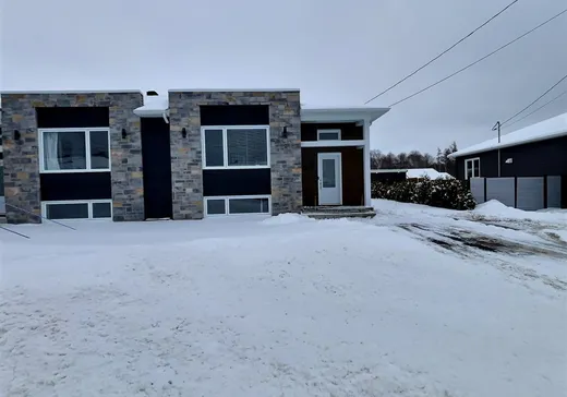 Maison à vendre - 69 Rue Bilodeau, Plessisville, G6L 0J9