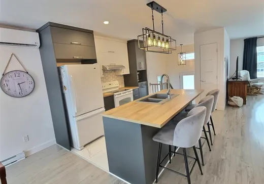 Maison à vendre - 69 Rue Bilodeau, Plessisville, G6L 0J9