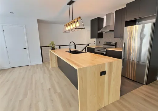 House for sale - 62 Rue Simoneau, Asbestos, J0A 1L0