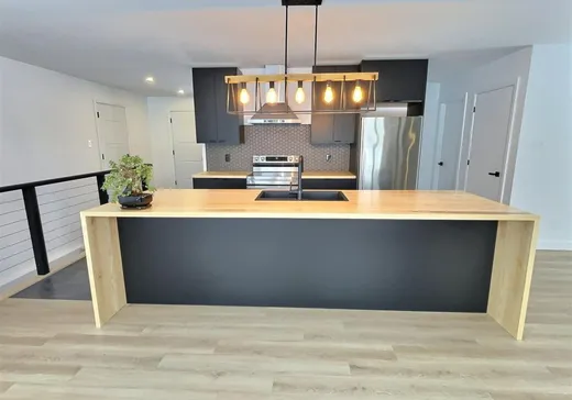 House for sale - 62 Rue Simoneau, Asbestos, J0A 1L0