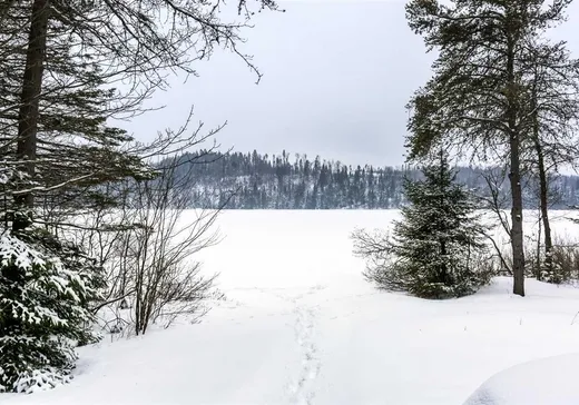 Maison à vendre - 110 Rue de la Galaxie, Notre-Dame-de-Montauban, G0X 1W0