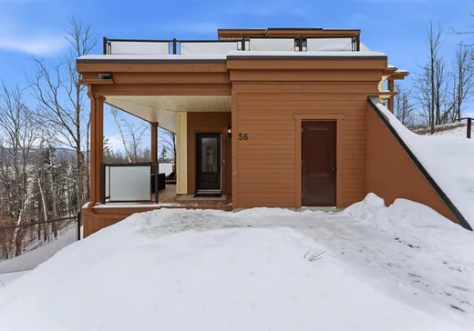 Condo à vendre - 56 Rue du Haut-de-la-Falaise, Magog, J0B 1C0