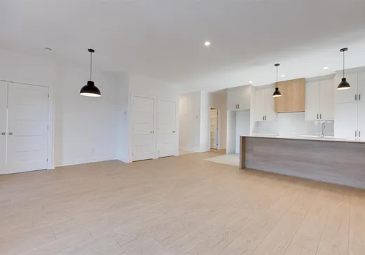 Condo à vendre - 11389 Av. L'Archevêque, Montréal (Nord), H1H 3B1