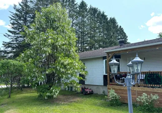 House for sale - 1 Rue Brassard, Mont-Tremblant, J0T 1H0