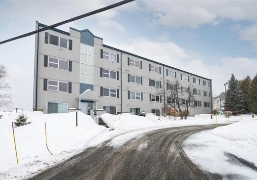 Loft à vendre - 110 Rue de la Tourbe, App. 205, St-Ferreol-les-Neiges, G0A3R0