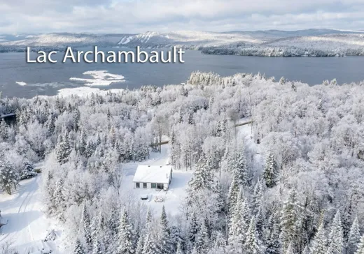 House for sale - 787 Ch. Régimbald, St-Donat-De-Montcalm, J0T 2C0