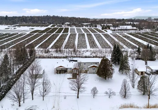 Maison à étages à vendre - 140 Rue Robert, Ste-Catherine-De-Hatley, J0B1W0