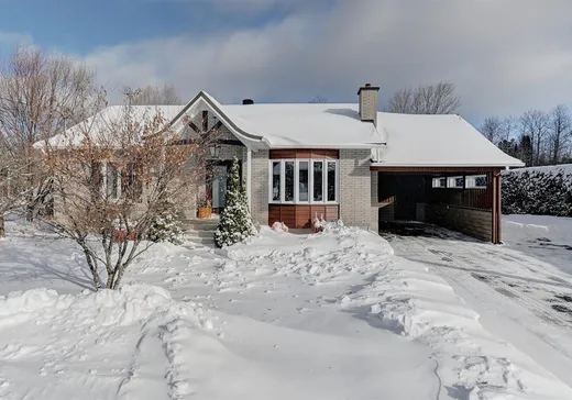 Maison à vendre - 746 Rue Drolet, Lac-Drolet, G0Y 1C0