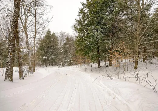 Maison à étages à vendre - 191 Ch. des Pinsons, Sutton, J0E2K0