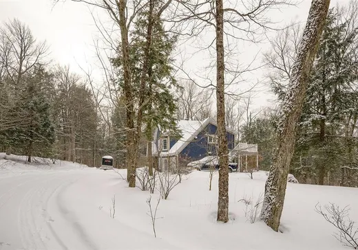 Maison à vendre - 191 Ch. des Pinsons, Sutton, J0E 2K0