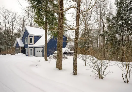 Maison à vendre - 191 Ch. des Pinsons, Sutton, J0E 2K0