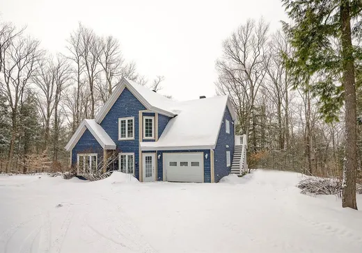 Maison à vendre - 191 Ch. des Pinsons, Sutton, J0E 2K0