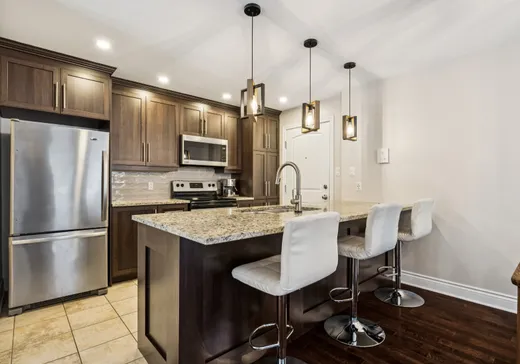 Condo à vendre - 2110 Rue Denonville, Ville Emard (Île de Montréal), H4E 1M8