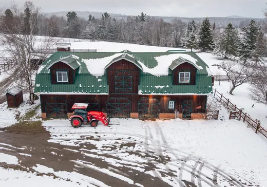 Fermette à vendre - 267 Ch. Owl's Head, Mansonville, J0E1X0