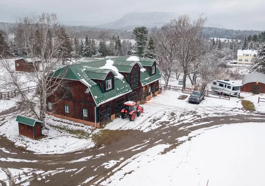 Fermette à vendre - 267 Ch. Owl's Head, Mansonville, J0E 1X0