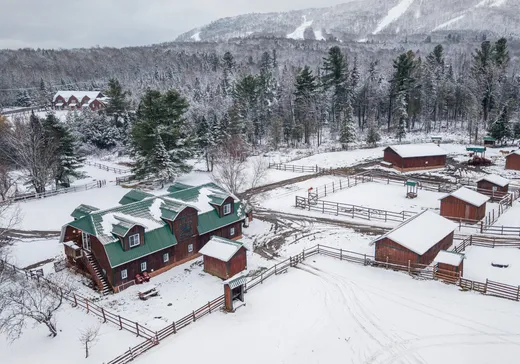 Fermette à vendre - 267 Ch. Owl's Head, Mansonville, J0E 1X0