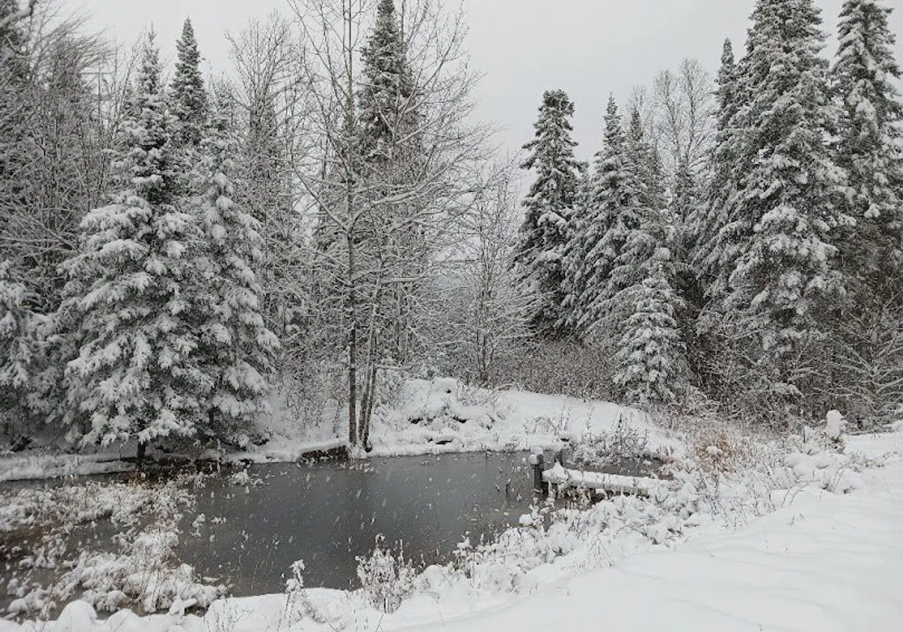 4 Ch. des Bois-Blancs — photo 3