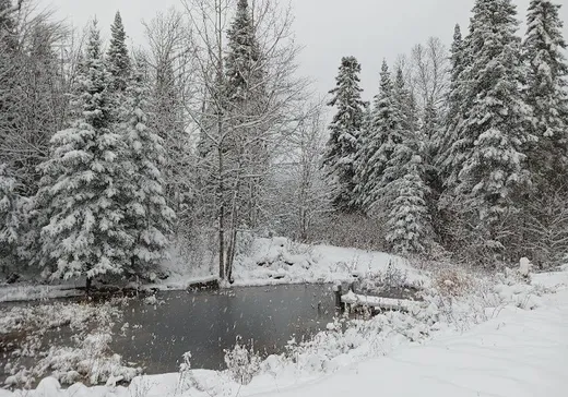 House for sale - 4 Ch. des Bois-Blancs, Mandeville, J0K 1L0