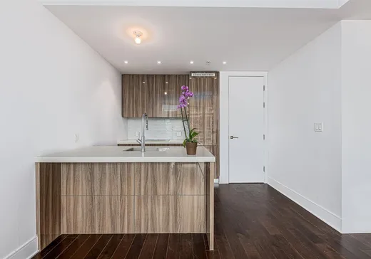 Condo for sale - 1188 Av. Union, App. 1808, Montreal (Downtown), H3B 0E5