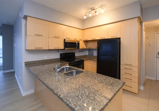 Condo for sale - 15 Boul. La Fayette, App. 2501, Longueuil, J4K 0B2