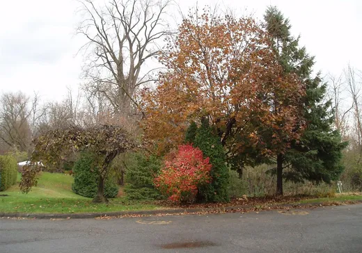 Condo à vendre - 175 Boul. de la Cité-des-Jeunes, Vaudreuil-Dorion, J7V 8G7