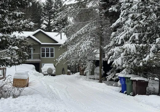 Bungalow à vendre - 5 Ch. de la Source, Mansonville, J0E1X0