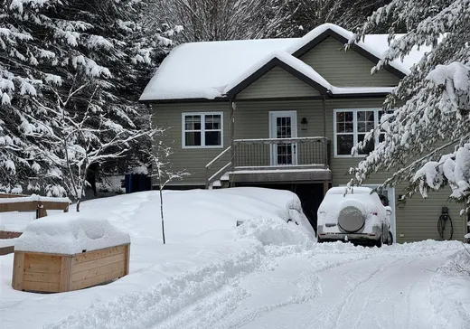 Maison à vendre - 5 Ch. de la Source, Mansonville, J0E 1X0