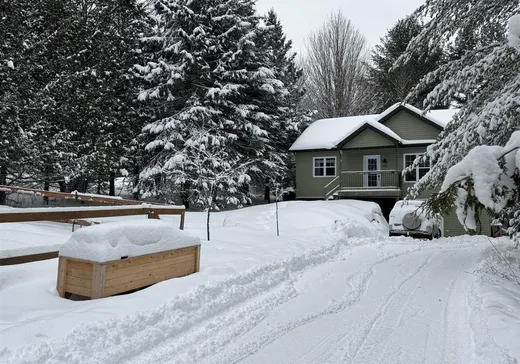 Maison à vendre - 5 Ch. de la Source, Mansonville, J0E 1X0