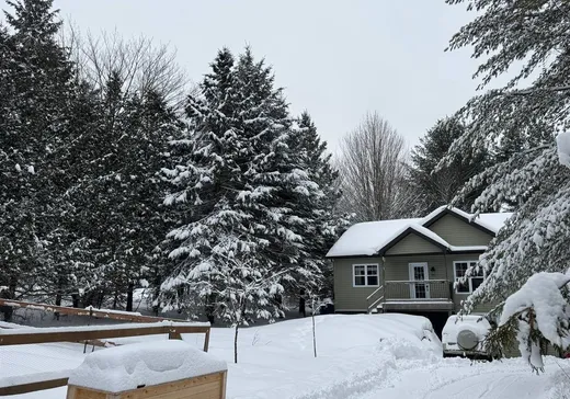 Maison à vendre - 5 Ch. de la Source, Mansonville, J0E 1X0