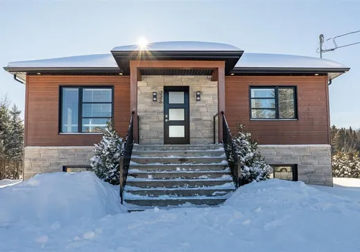 Maison à vendre - 225 Rue des Pivoines, Mont-Laurier, J9L 3G3