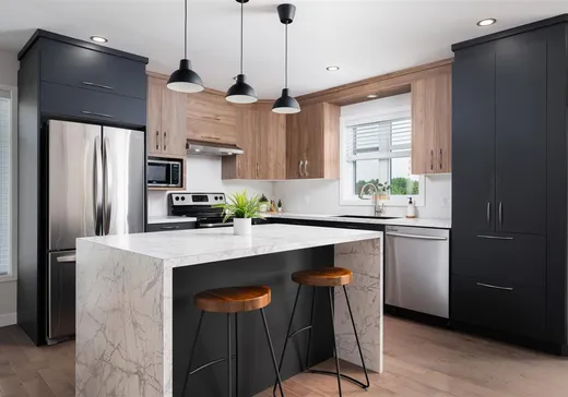 Maison à vendre - 225 Rue des Pivoines, Mont-Laurier, J9L 3G3