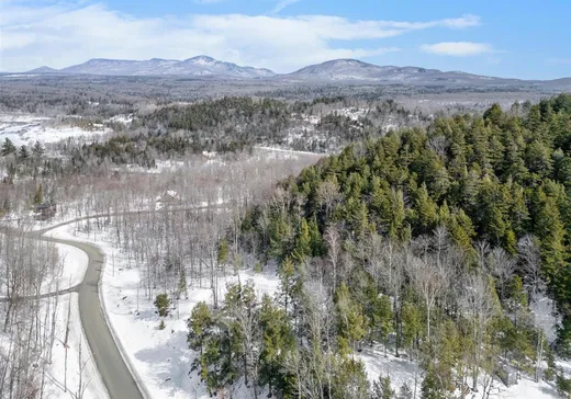 Maison à vendre - 152 Rue de la Serpentine, Bolton-Est, J0E 1G0