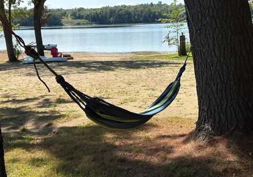 House for sale - 41 Ch. Squirrel Point Lane, Chapeau, J0X 1M0