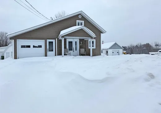 Un étage et demi à vendre - 810 Rue Principale, Sainte-Rose-de-Watford, G0R4G0