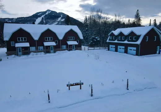 Maison à vendre - 265-271 Ch. Owl's Head, Mansonville, J0E 1X0