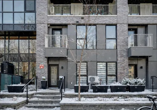 Condo à vendre - 170 Rue Rioux, App. 117, Montréal (Le Sud-Ouest), H3C2A5