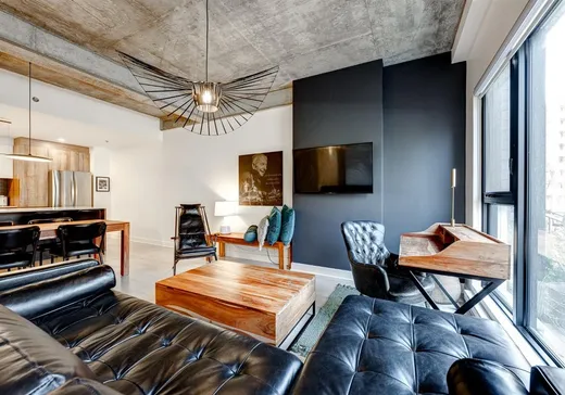 Condo à vendre - 170 Rue Rioux, App. 117, Montréal (Le Sud-Ouest), H3C 2A5