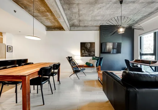 Condo à vendre - 170 Rue Rioux, App. 117, Montréal (Le Sud-Ouest), H3C 2A5