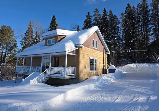 Un étage et demi à vendre - 151 10e Rang, Lac-Etchemin, G0R1S0