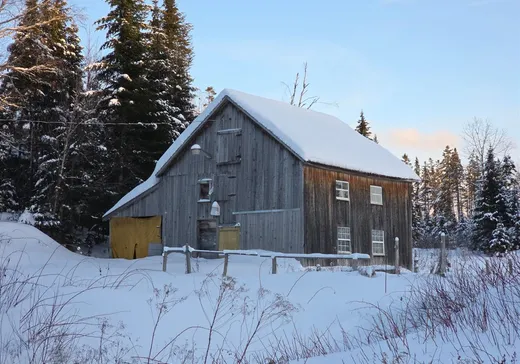 Maison à vendre - 151 10e Rang, Lac-Etchemin, G0R 1S0