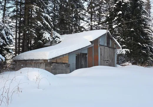 Maison à vendre - 151 10e Rang, Lac-Etchemin, G0R 1S0