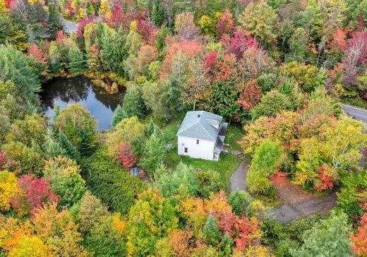 Maison à vendre - 160 Ch. Godefroy, Ste-Anne-Des-Lacs, J0R 1B0